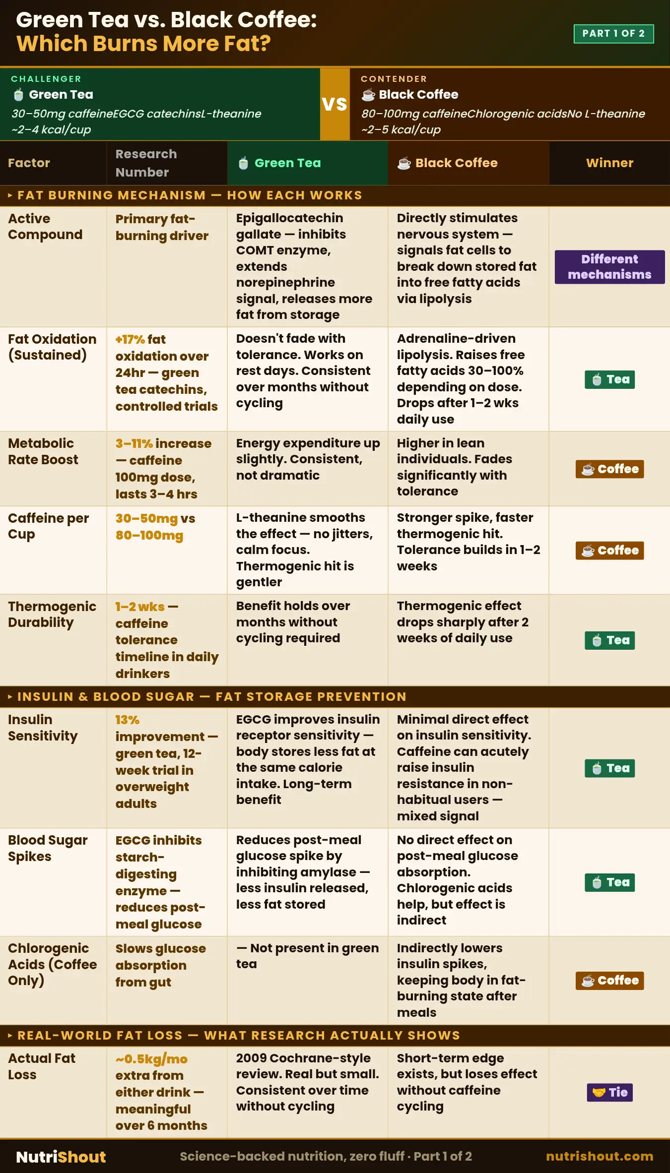 A detailed health matrix breaking down how green tea catechins provide 17 percent sustained fat oxidation versus black coffee’s adrenaline-driven lipolysis and its impact on blood sugar spikes.