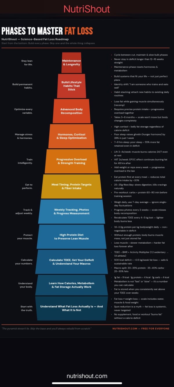 Phases to master fat loss — science-based fat loss pyramid roadmap for fat people