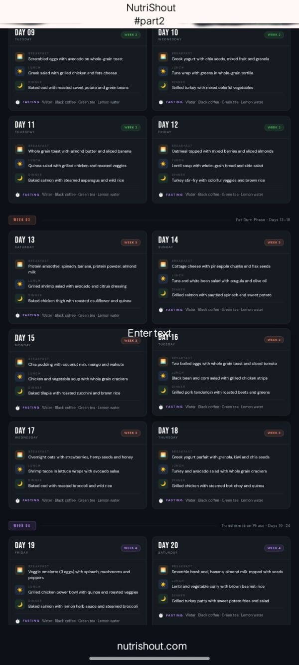 Fasting meal plan cards for days 9 to 20 with daily breakfast lunch and dinner meals across week 2 and week 3 fat burn phase