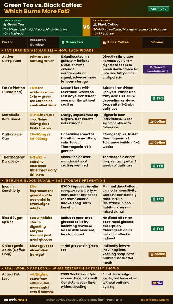 A detailed health matrix breaking down how green tea catechins provide 17 percent sustained fat oxidation versus black coffee’s adrenaline-driven lipolysis and its impact on blood sugar spikes.