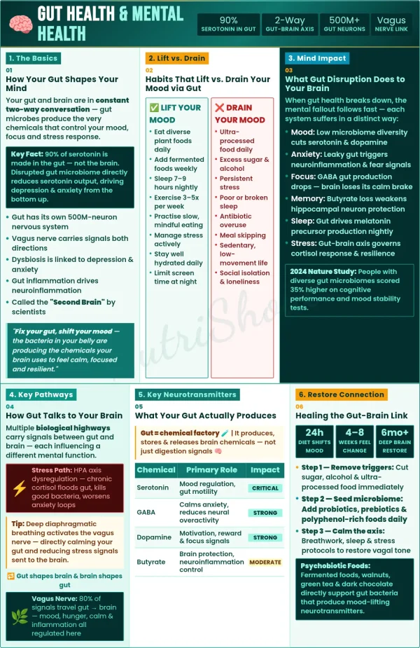 Gut brain connection, microbiome impact on mood, serotonin production and mental health