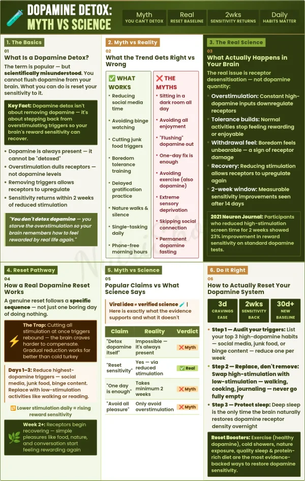 Infographic explaining dopamine detox myths vs science, how brain receptors work, and steps to reset dopamine sensitivity