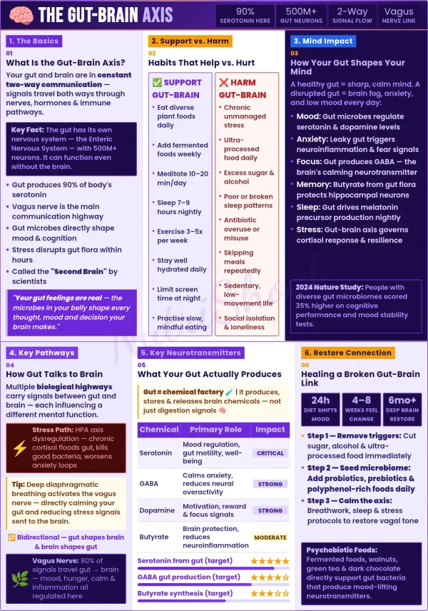 Connection between gut and brain affecting mood, stress, focus, and mental health through microbiome signals