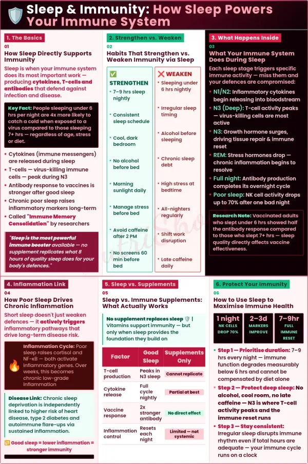 Importance of sleep for immune system strength including T cells, antibodies, and inflammation control
